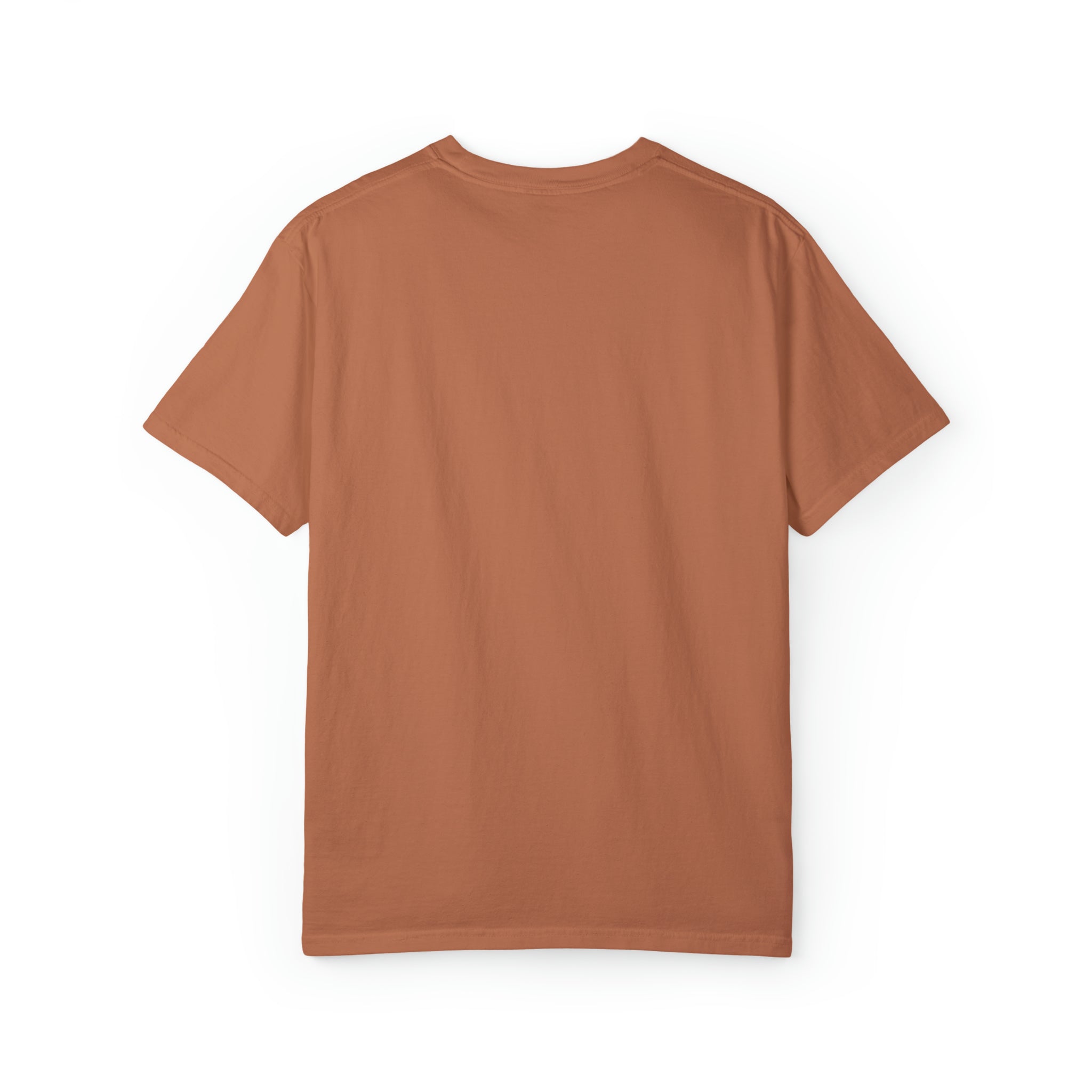 Flippy DGC Vintage Comfort Tee